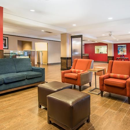Comfort Inn & Suites Kissimmee By The Parks Four Corners Exterior foto